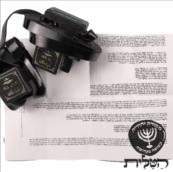 תפילין רש״י בהמה גסה ספרדי רגיל