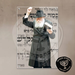 תמונת זכוכית הרבי מליובאוויטש דגם 05