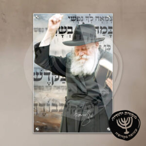 תמונת זכוכית הרבי מליובאוויטש דגם 11