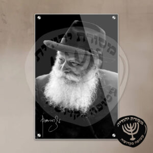 תמונת זכוכית הרבי מליובאוויטש דגם 12