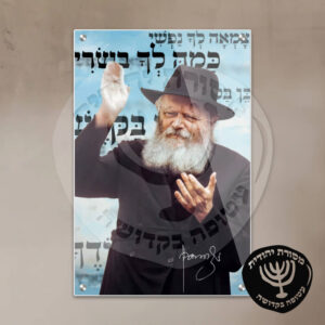 תמונת זכוכית הרבי מליובאוויטש דגם 14