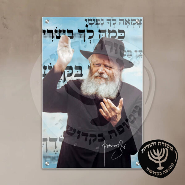 תמונת זכוכית הרבי מליובאוויטש דגם 14