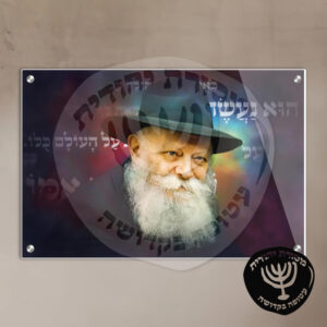 תמונת זכוכית הרבי מליובאוויטש דגם 17