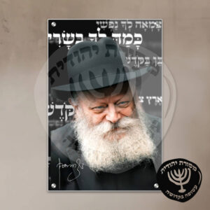 תמונת זכוכית הרבי מליובאוויטש דגם 18