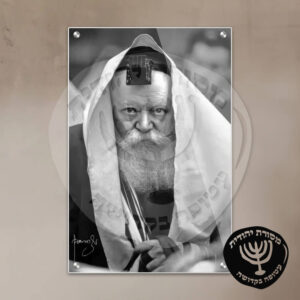 תמונת זכוכית הרבי מליובאוויטש דגם 19
