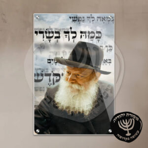 תמונת זכוכית הרבי מליובאוויטש דגם 20