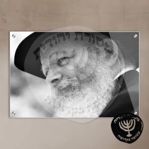תמונת זכוכית הרבי מליובאוויטש דגם 21