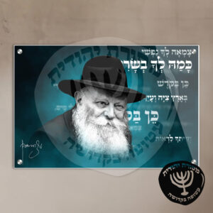 תמונת זכוכית הרבי מליובאוויטש דגם 22