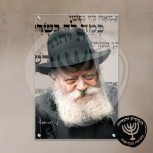 תמונת זכוכית הרבי מליובאוויטש דגם 27