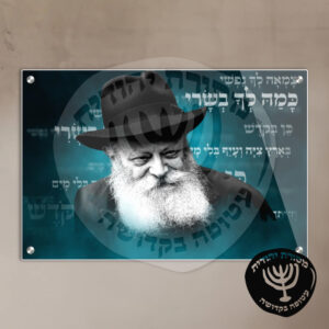 תמונת זכוכית הרבי מליובאוויטש דגם 31
